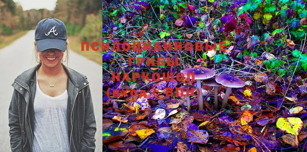 прущие грибы Елизово